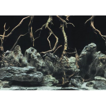 Aqua Nova Tree Roots/Water Double Sided Background 150x60cm